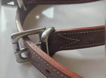 Halsriemen aus Leder neu und hochwertig
