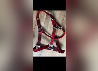 Hamilton Halfter average Horse red rot