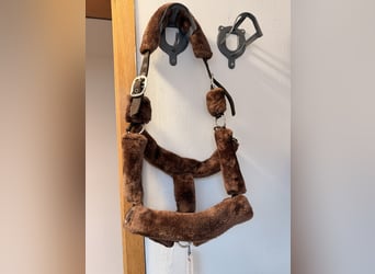 Neu Teddyhalfter braun Wb