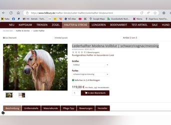 NEUmit Etikett-traumhaftes Set- Hillbury Lederhalfter Modena+ Seil Segeltau gratis