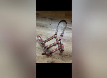 Showmaster Halfter COB Herbst Blötter bunt  Krämer VB