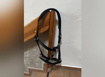 Sicherheitshalfter
