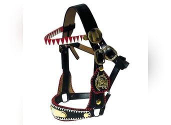 Zierhalfter Prunkhalfter Showzaum Fahrhalfter Messing für Kaltblut - Noriker usw.