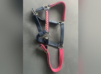 Blau Pinkes Pony Halfter