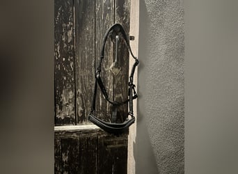 Glitzerhalfter Pony Horse Guard