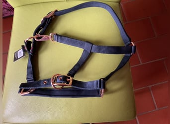 Halfter für ein Shetty, neu, Farbe blau/rose