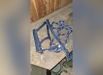 HKM Pony Halfter + Strick in Blau
