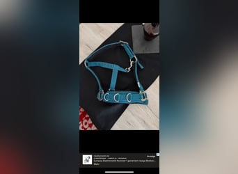 Kappzaum Pony 