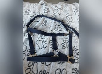 Pony Halfter Neu