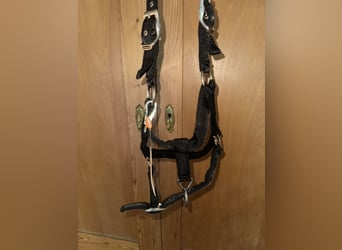 Schockemöhle Sports Halfter 