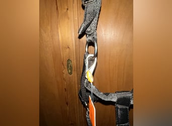 Schockemöhle Sports Halfter 