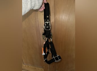 Schockemöhle Sports Halfter 