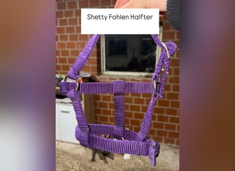 Shetty Fohlen Halfter 