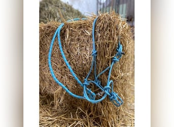 FREE RIDING Knotenhalfter + Zügeln ICY Knotenhalfter gebisslos UVP 39€