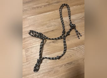 schwarz weißes knotenhalfter warmblut