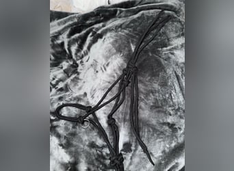 Schwarzes knotenhalfter mit Zügelringen