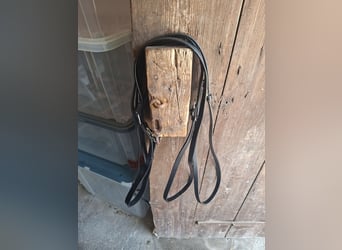 ​Dreieckszügel / Ausbinder aus Leder (sehr guter Zustand) – Größe Full / Warmblut