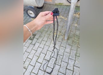 Gogue zu verkaufen