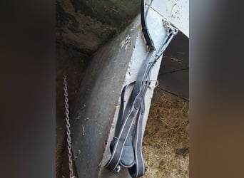 Dreipunkt-Vorderzeug (Warmblut / WB) - Gebraucht