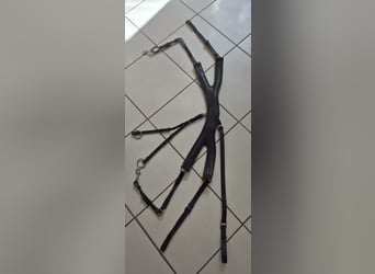 Passier Vorderzeug Auriga