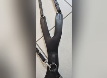 Passier Vorderzeug Auriga