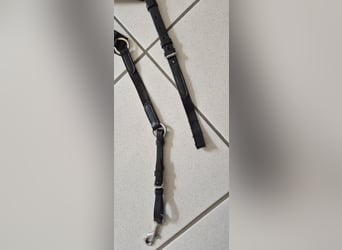 Passier Vorderzeug Auriga