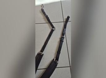 Passier Vorderzeug Auriga