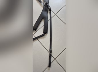 Passier Vorderzeug Auriga