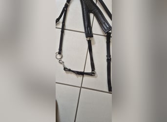 Passier Vorderzeug Auriga