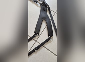 Passier Vorderzeug Auriga