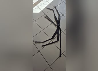 Passier Vorderzeug Auriga