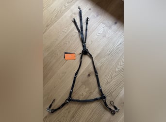 Vorderzeug Sevilla Select Schockemöhle