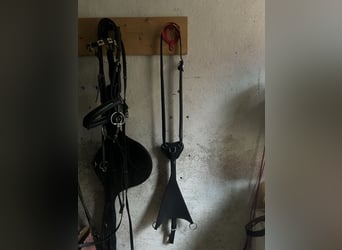 Vorderzeug „Winchmore“