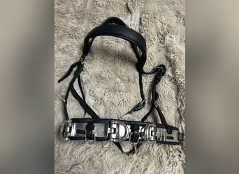 Kappzaum X FULL | inkl. Stirnriemen | mit Naseneisen