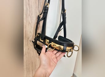 Leder Kappzaum Warmblut