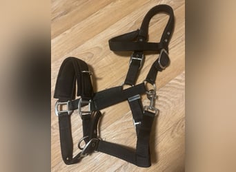 schwarze Kappzaum showmaster cob