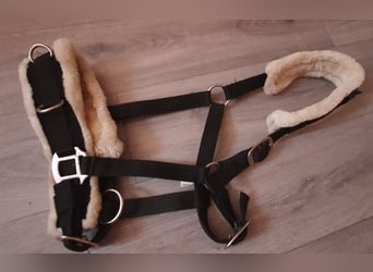 Stall & Longierhalfter Größe Full