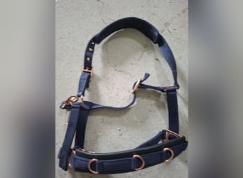 Verkaufe Longierhalfter