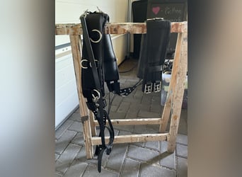 Busse Longiergurt mit Ausbindern Größe M
