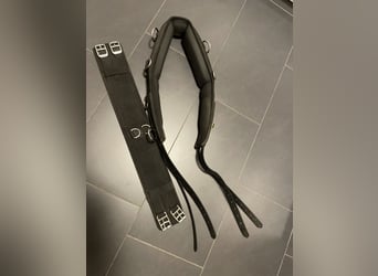 Kieffer Longiergurt WB