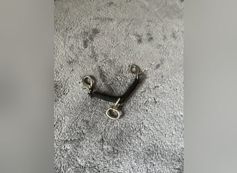 Longierbrille