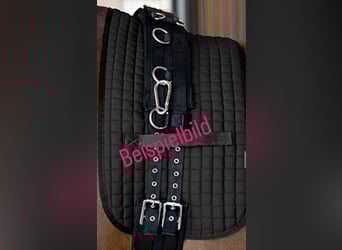 Longiergurtunterlage