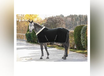 Abschwitzdecke Cheval de Luxe "Nantes
