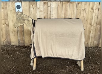 Abschwitzdecke