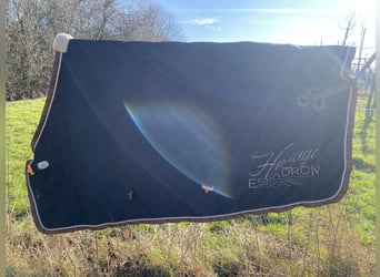 Eskadron Heritage Abschwitzdecke 145cm