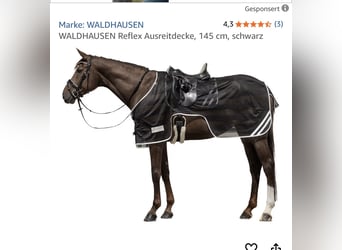 Reflex Ausreitdecke Waldhausen 145cm