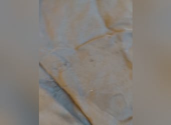 Horseware Rambo Fliegendecke 60 Euro 145cm