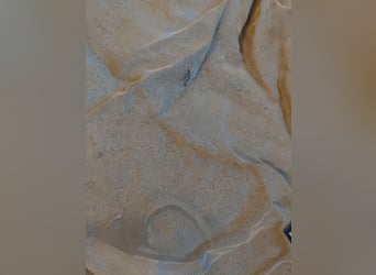 Horseware Rambo Fliegendecke 60 Euro 145cm