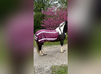 Führdecke Reflektion 135cm