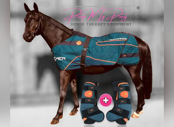 BEMER HORSE Magnetfeld Therapie Pferd Komplett SET Decke +2 Gamaschen Verleih Vermietung Versand